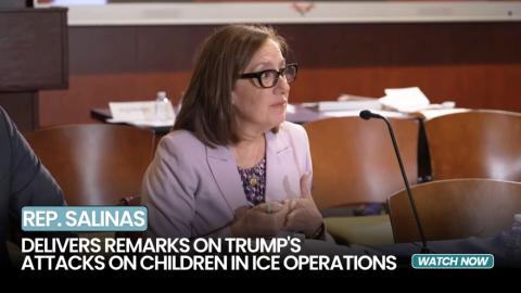 3.27.26 shadow hearing