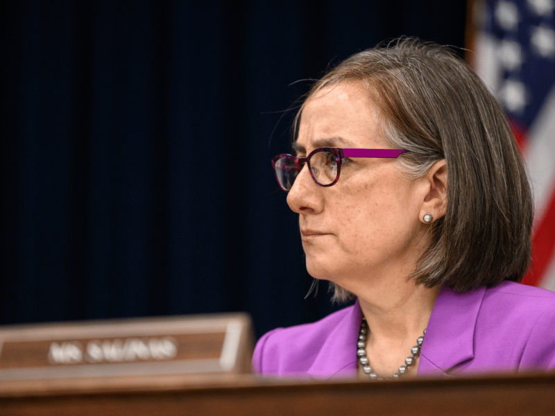 Rep. Salinas at a committee hearing