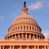 A picture of the Capitol dome