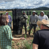 Farmworkers
