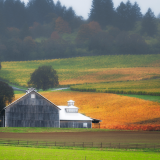 A farmhouse in Yamhill County.
