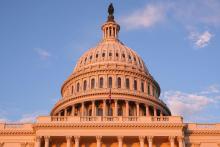 A picture of the Capitol dome