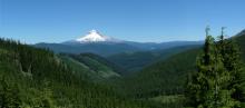 mt hood national forest